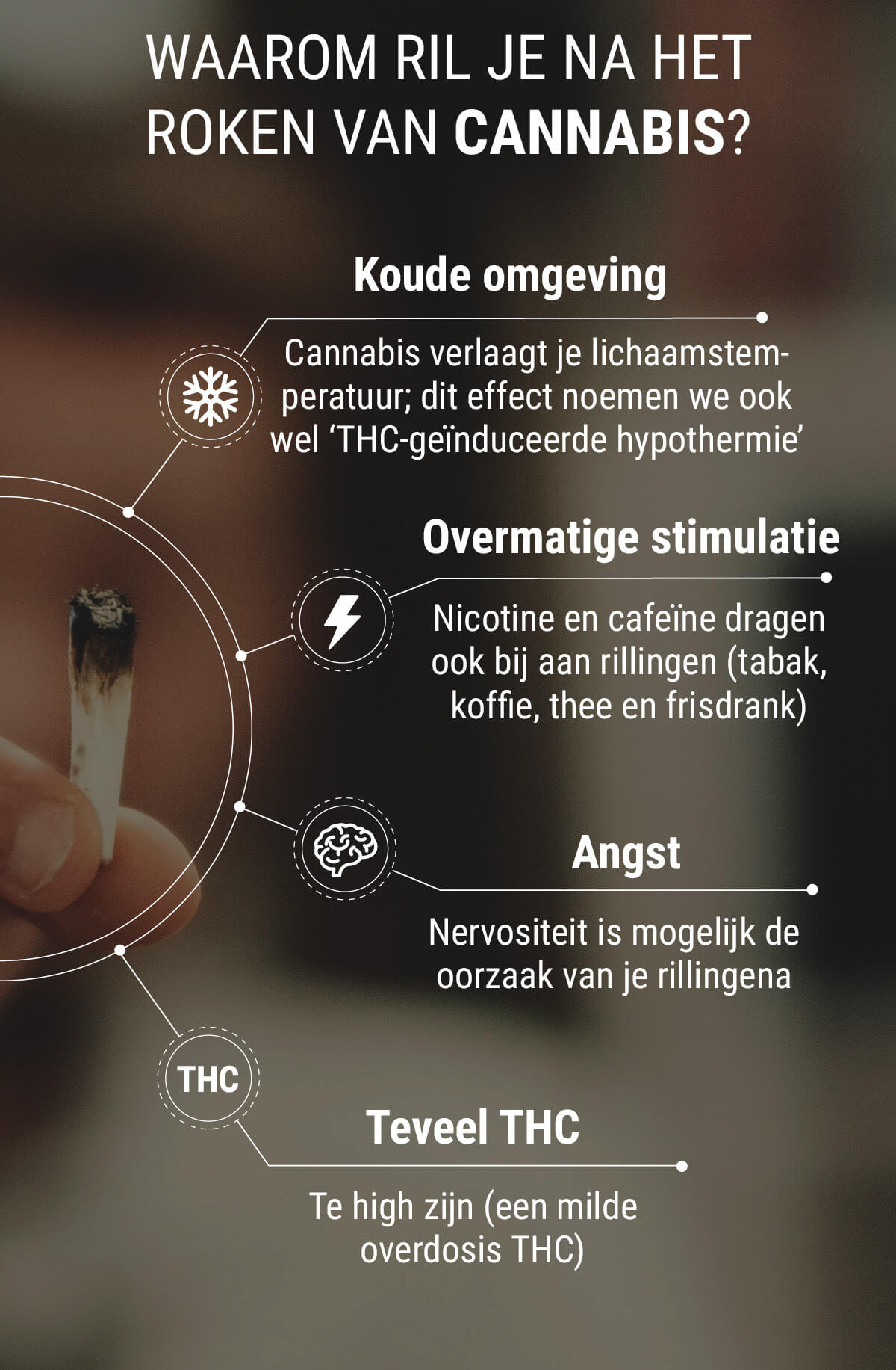 Wat Zijn Cannabis Rillingen En Waar Komen Ze Vandaan? RQS Blog